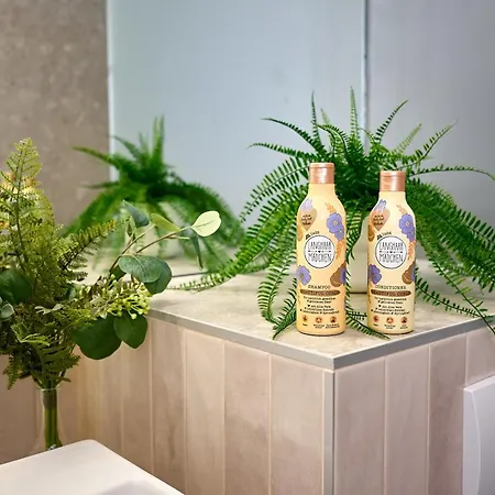 Modern In Wine Town - Daire *